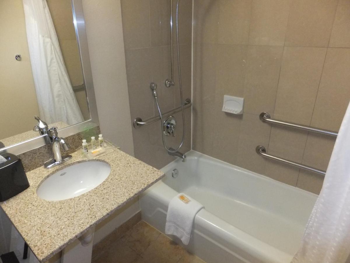 Holiday Inn Mount Prospect-Chicago Zimmer foto