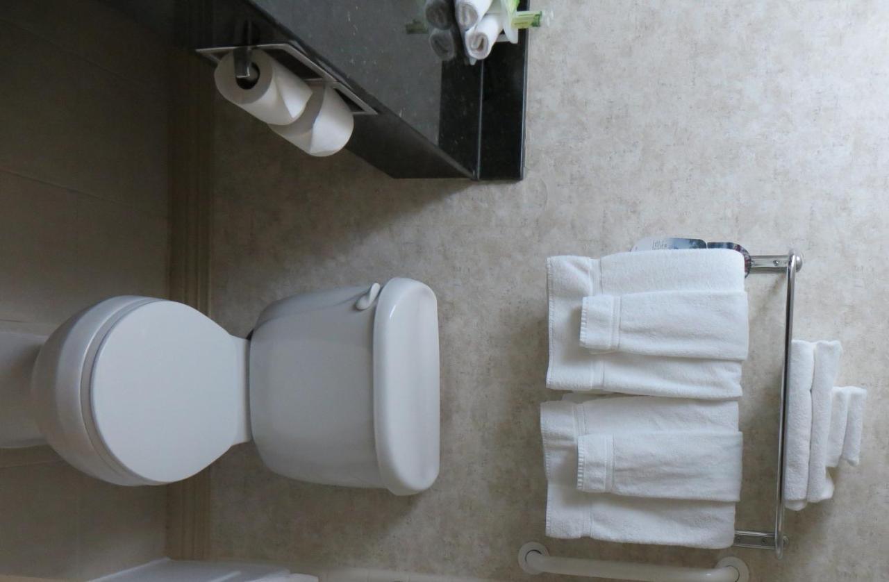 Holiday Inn Mount Prospect-Chicago Zimmer foto