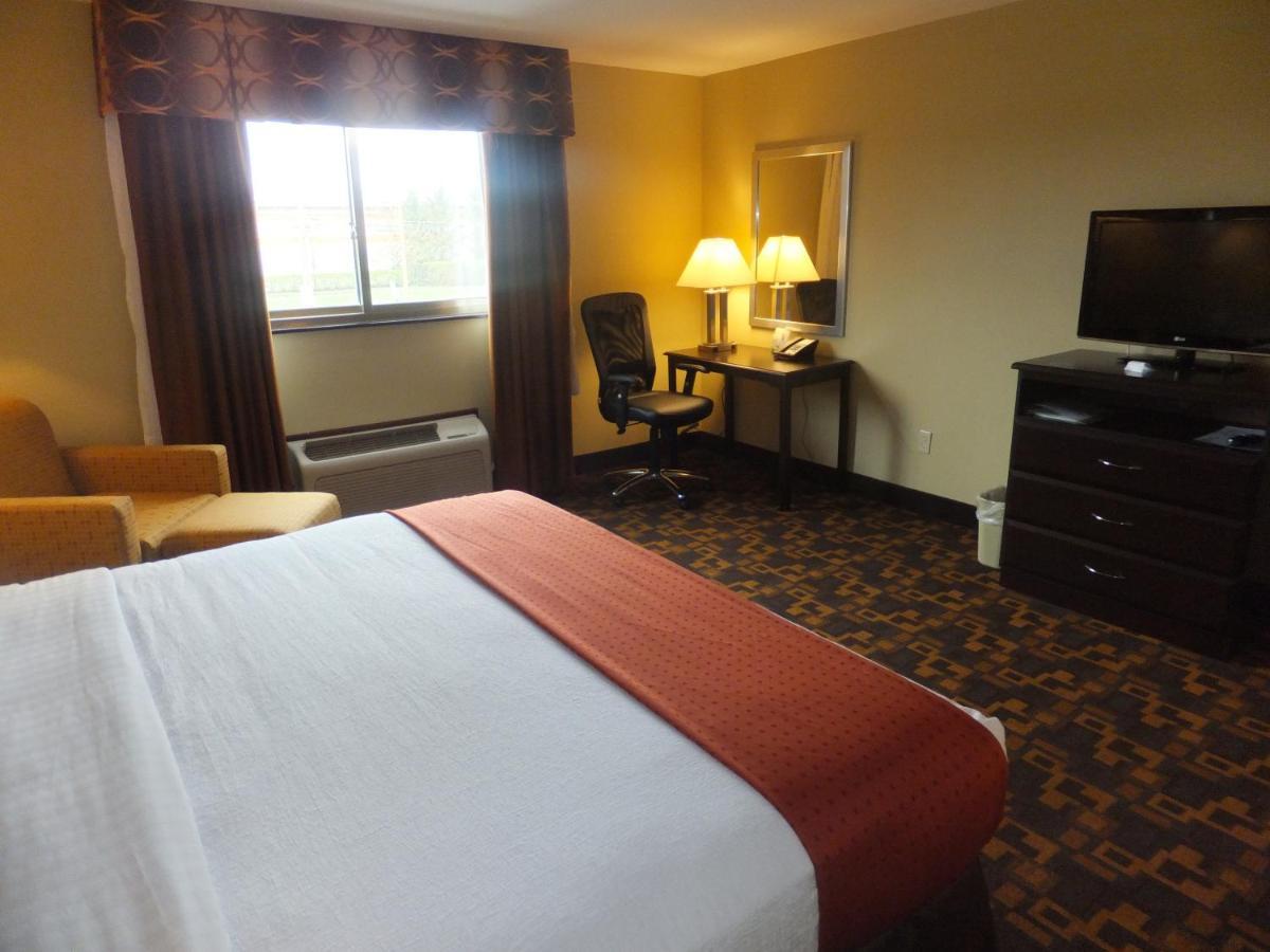 Holiday Inn Mount Prospect-Chicago Zimmer foto